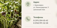 Проростки