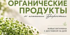 Проростки