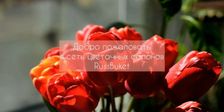 РУСЬ БУКЕТ