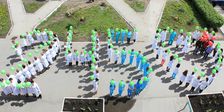 Дежурная Аптека 245