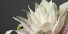 LILI FLOWERS