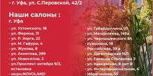 OPTROZ.RU