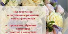 OPTROZ.RU