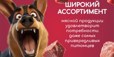 GAVЧИК