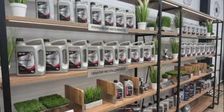 WINSTEEL