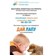 Дай Лапу