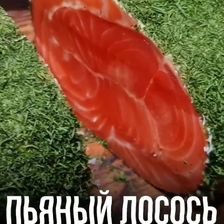 ОКЕАН