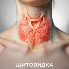 Диомид