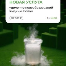 Диомид