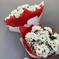 МЕГАФЛОРА ЦВЕТОК