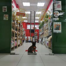 Хуссе & 29ZOO