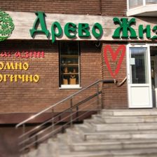Древо Жизни