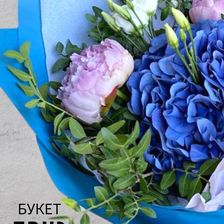 ДАРИ ЦВЕТЫ & САДуДАЧИ