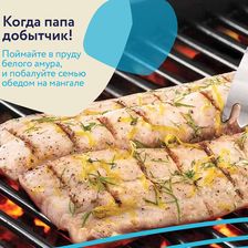 Аква-Вита