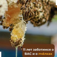 БАШКИРСКИЕ ПАСЕКИ