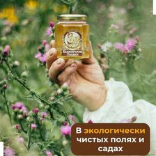БАШКИРСКИЕ ПАСЕКИ
