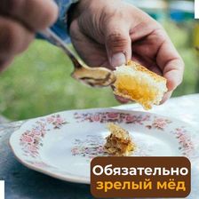 БАШКИРСКИЕ ПАСЕКИ