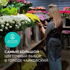 ЦВЕТОЧНАЯ КОЛЛЕКЦИЯ