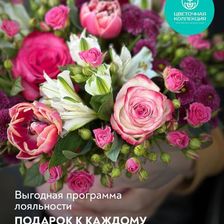 ЦВЕТОЧНАЯ КОЛЛЕКЦИЯ