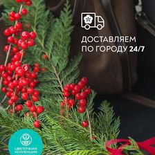 ЦВЕТОЧНАЯ КОЛЛЕКЦИЯ