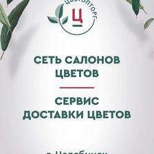 ЦВЕТОПТОРГ