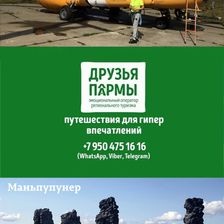 Друзья Пармы