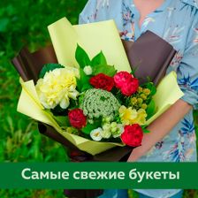 ЦвеТТорг