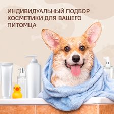 BEAUTY DOG