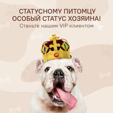 BEAUTY DOG