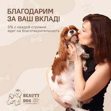 BEAUTY DOG