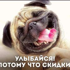 Зоомаркет