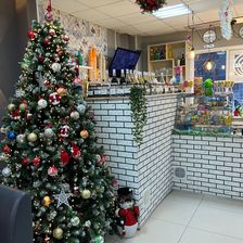 Albero