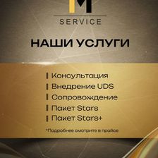 1M-Service