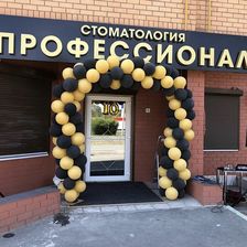 Профессионал