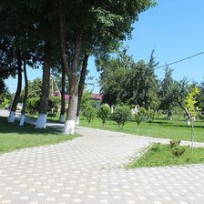Великовечное
