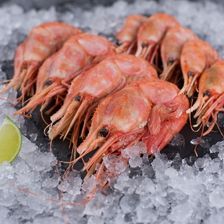 KRAB’S BERRY