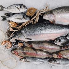Seafood&caviar