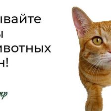 БИОЦЕНТР
