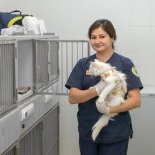 Уфимская ветеринарная клиника