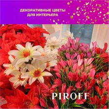 Фейерверки PIROFF