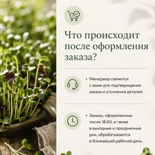 Проростки