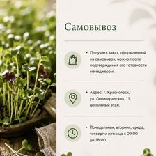 Проростки