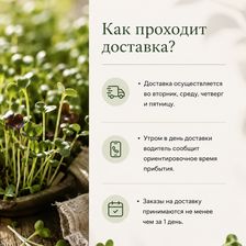 Проростки