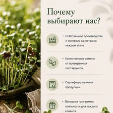 Проростки