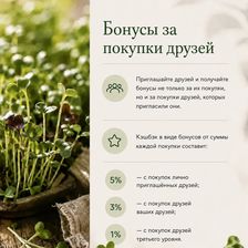 Проростки