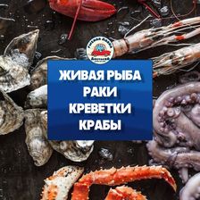 РЫБНАЯ ЛАВКА