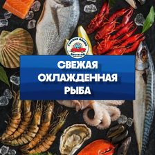 РЫБНАЯ ЛАВКА