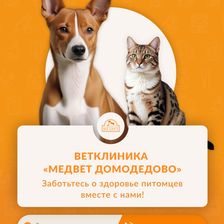 МЕДВЕТ