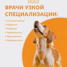 МЕДВЕТ