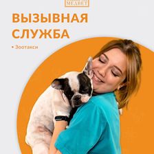 МЕДВЕТ